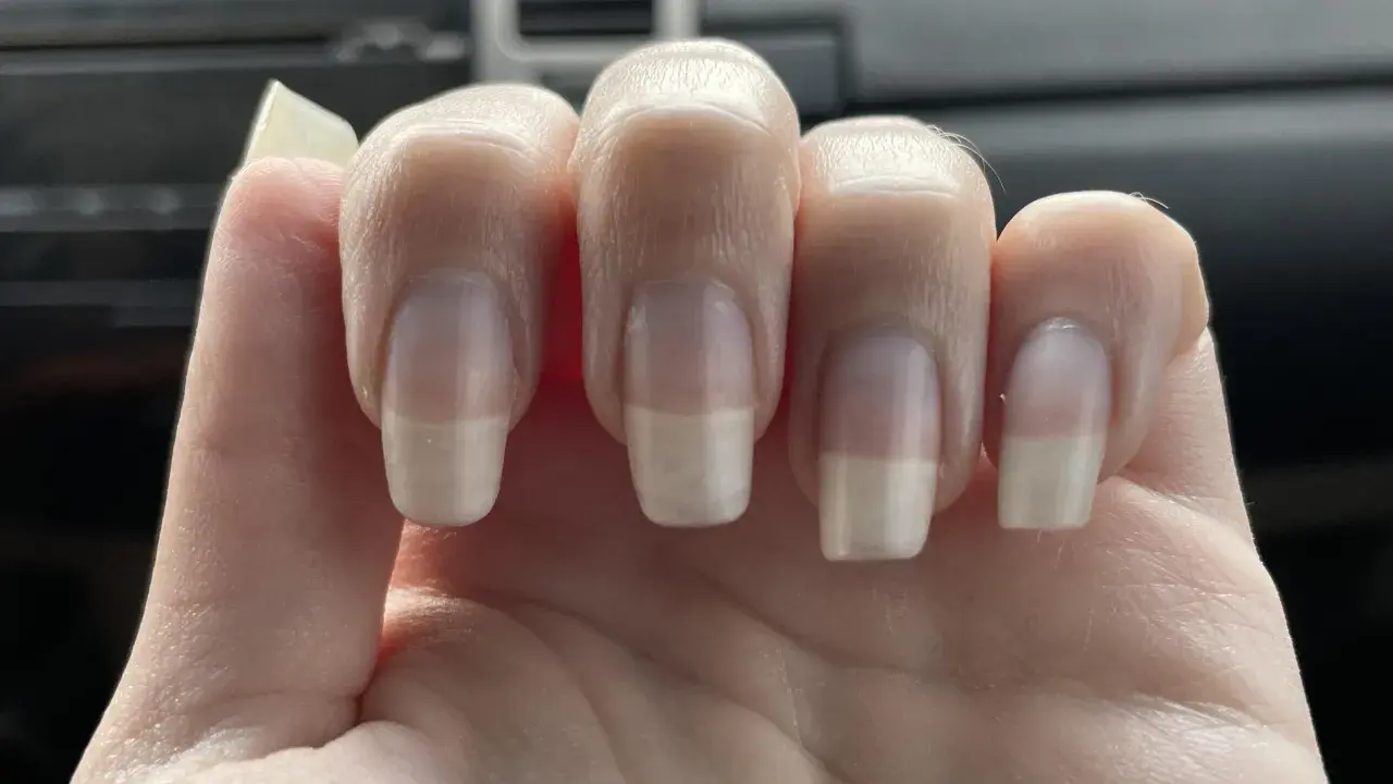 Dita con unghie curate, leggermente incurvate, che mostrano una french manicure naturale.