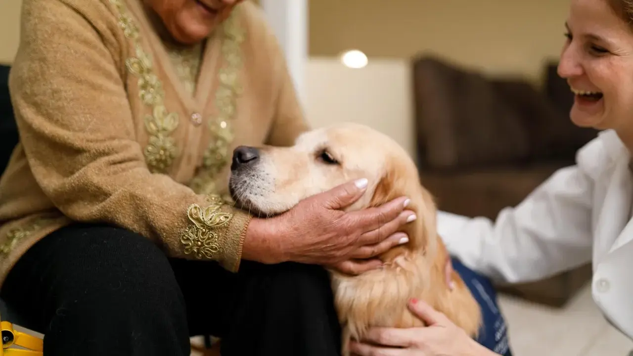 Un golden retriever coccolato da un'anziana e una volontaria. Momenti di gioia e conforto nella pet therapy anziani.