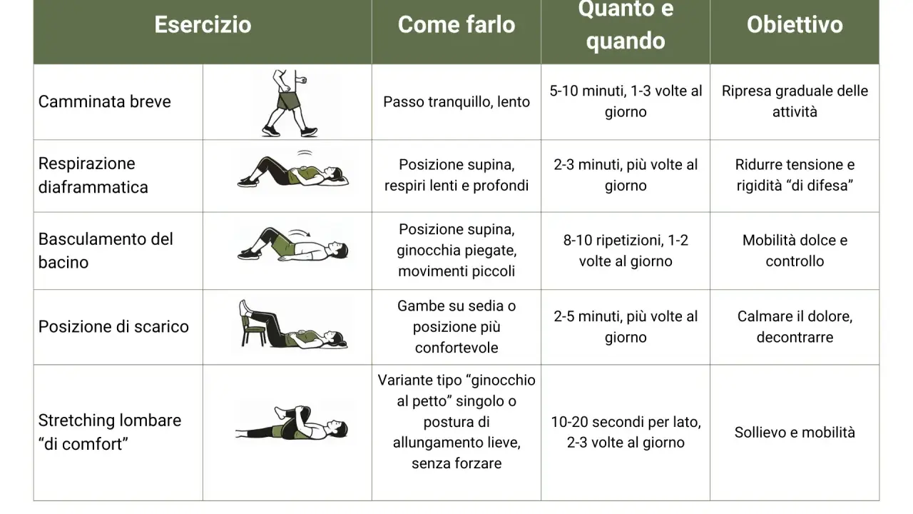 Tabella con esercizi schiena: camminata, respirazione diaframmatica, basculamento bacino, posizione scarico, stretching lombare.