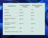 Tabella classificazione pressione arteriosa: ottimale <120/80, normale 120-129/80-84, normale-alta 130-139/85-89, ipertensione grado 1 (lieve) 140-159/90-99. Pressione massima a 100 è considerata normale.