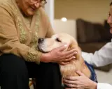 Un golden retriever coccolato da un'anziana e una volontaria. Momenti di gioia e conforto nella pet therapy anziani.