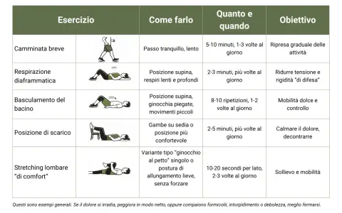 Tabella con esercizi schiena: camminata, respirazione diaframmatica, basculamento bacino, posizione scarico, stretching lombare.
