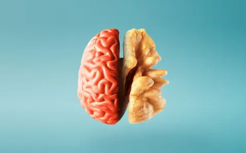 Metà cervello rosso e metà noce, un'immagine che evoca i 12 alimenti che fanno bene al cervello e alla memoria.
