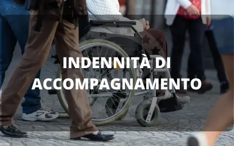 Indennità di accompagnamento: informati sui tempi di risposta per la tua domanda.