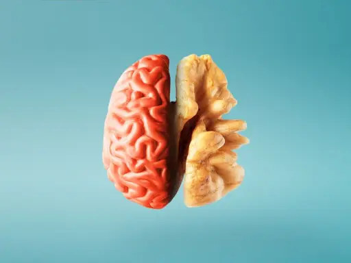 Metà cervello rosso e metà noce, un'immagine che evoca i 12 alimenti che fanno bene al cervello e alla memoria.