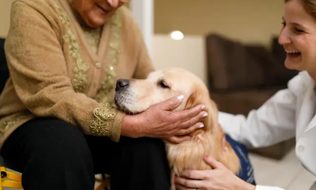 Un golden retriever coccolato da un'anziana e una volontaria. Momenti di gioia e conforto nella pet therapy anziani.