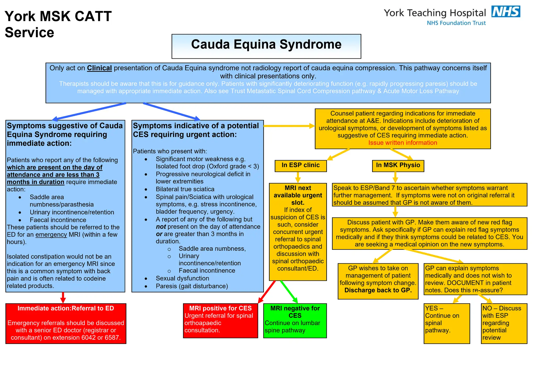Schema di flusso per la sindrome della cauda equina: sintomi iniziali, gestione e referral.