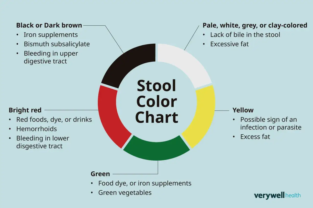 Grafico sul colore delle feci: il verde può indicare coloranti alimentari, integratori di ferro o verdure verdi.